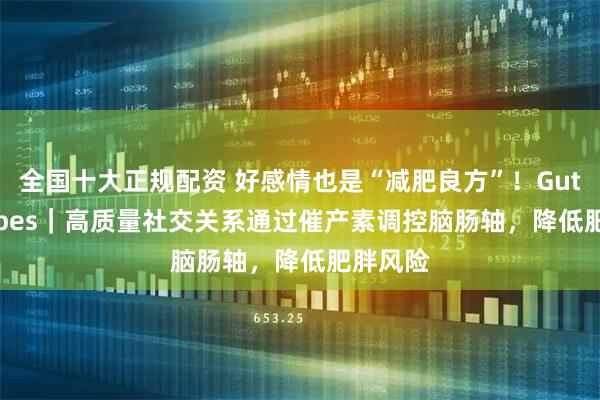 全国十大正规配资 好感情也是“减肥良方”！Gut Microbes｜高质量社交关系通过催产素调控脑肠轴，降低肥胖风险