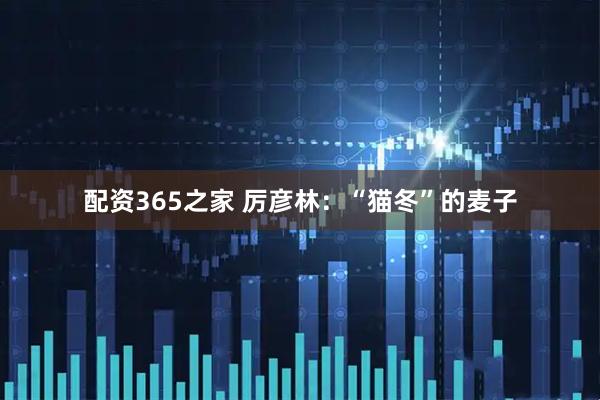 配资365之家 厉彦林：“猫冬”的麦子